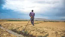 تشنگی دشت عباس