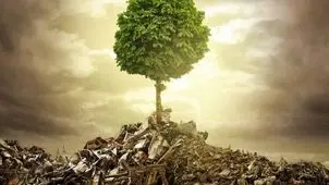 زمین‌کُشی؛ چهره خاموش جنگ
