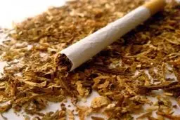 افزایش ۲ برابری قیمت تنباکو