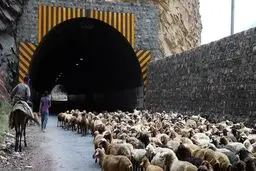 آخرین وضعیت جاده های شمالی/ کندوان مسدود شد