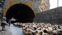 آخرین وضعیت جاده های شمالی/ کندوان مسدود شد