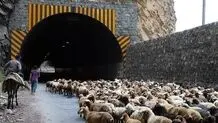 آخرین وضعیت جاده های شمالی/ کندوان مسدود شد