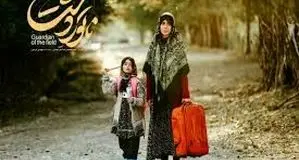 1404 را باید  سال سینمای اجتماعی بنامیم‌

