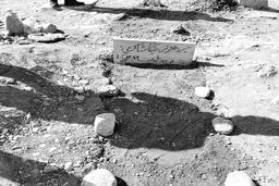 نیکا مواد مخدر، دارو یا سمی مصرف نکرده بود