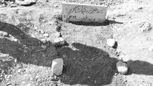 نیکا مواد مخدر، دارو یا سمی مصرف نکرده بود