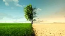 ممنوعیت کشت برنج در خوزستان؛ اولویت با آب شرب و دام است