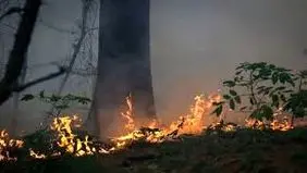 آتش الیت  خاموش نمی‌شود

