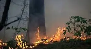 آتش الیت  خاموش نمی‌شود

