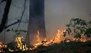 آتش الیت  خاموش نمی‌شود

