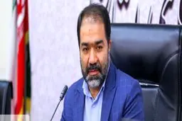 تعریف پروژه‌های سرمایه‌گذاری ویژه، متناسب با ظرفیت هر شهرستان استان