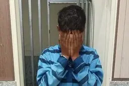 تبعه افغانستان به اتهام سرقت از بانوان دستگیر شد
