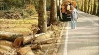 شکایت شهرداری تهران از کاخ سعدآباد بابت قطع ۱۵ درخت

