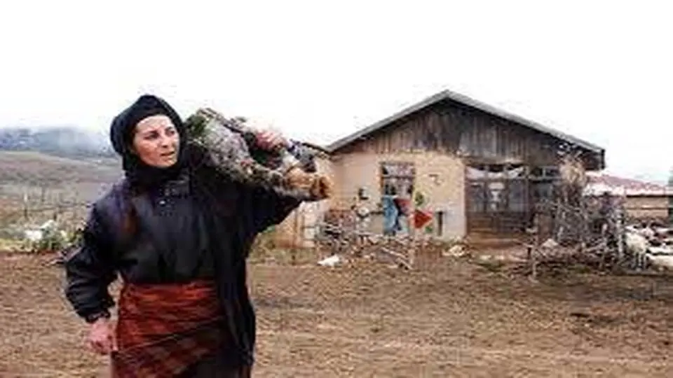 گیلانه با بازی معتمدآریا در سینماهای کشور اکران شد