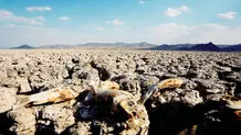 دیپلماسی «یکشنبه‌»‌ها
