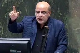 یک نماینده مجلس مازوت سوزی را تایید کرد