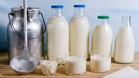 شیر گران می شود؟ 