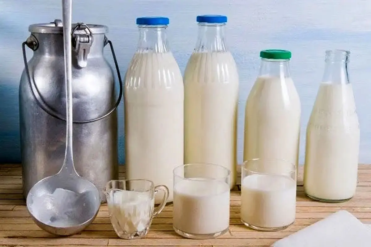 قیمت شیر و محصولات لبنی ارزان می شود ؟ / توضیح وزیر کشاورزی