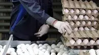 قیمت جدید تخم‌مرغ اعلام شد
