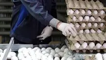 قیمت جدید تخم‌مرغ اعلام شد
