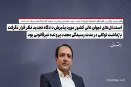 استدلال‌های دیوان عالی کشور مورد پذیرش دادگاه تجدید نظر قرار نگرفت / بازداشت توکلی در مدت رسیدگی مجدد پرونده غیرقانونی بود