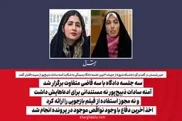 سه جلسه دادگاه با سه قاضی متفاوت برگزار شد/ آمنه سادات ذبیح‌پور نه مستندانی برای ادعاهایش داشت و نه مجوز استفاده از فیلم بازجویی را ارائه کرد/ اخذ آخرین دفاع با وجود نواقص موجود در پرونده انجام شد

