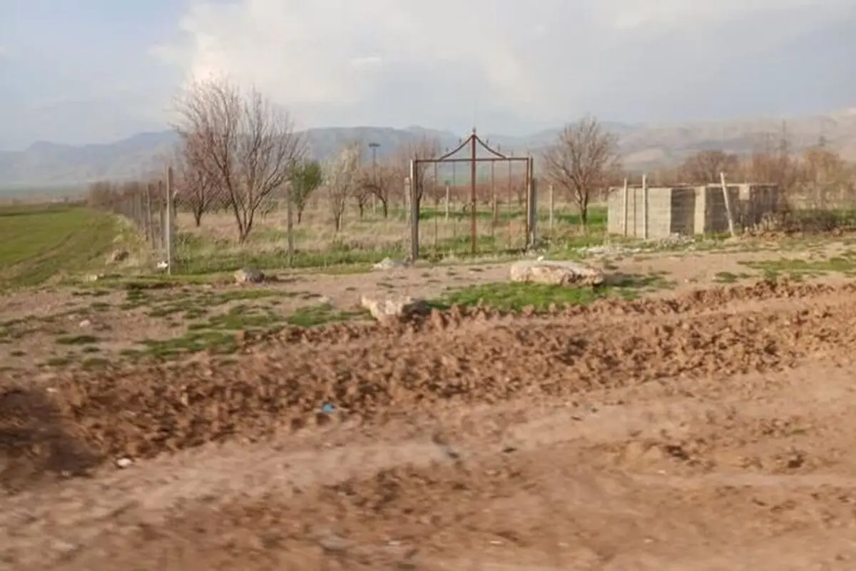 صدور ۵۰ مجوز تغییر کاربری اراضی در گلستان