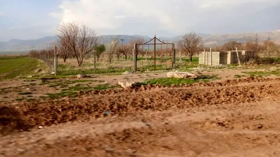 صدور ۵۰ مجوز تغییر کاربری اراضی در گلستان