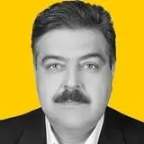 پویا  نعمت‌الهی
