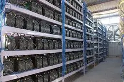 ماینرهای غیرمجاز در یک دامداری خاموش شد
