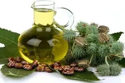خواص باورنکردنی روغن کرچک برای سلامتی بدن
