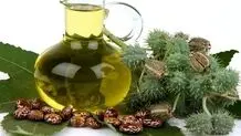 خواص باورنکردنی روغن کرچک برای سلامتی بدن
