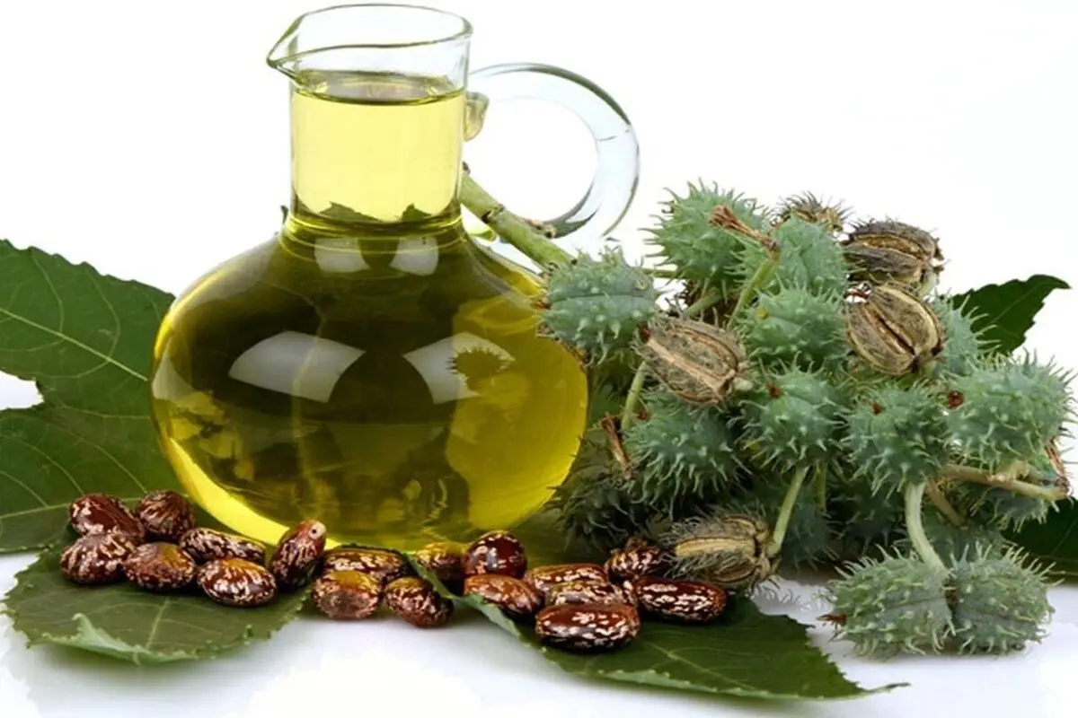 خواص باورنکردنی روغن کرچک برای سلامتی بدن
