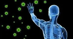 بدن قوی می‌خواهید؟ این خوراکی‌ها را مصرف کنید
