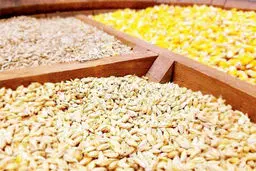 تاریکخانه‌هایی در یک بازار مخفی!