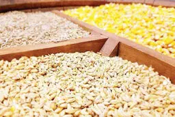 تاریکخانه‌هایی در یک بازار مخفی!