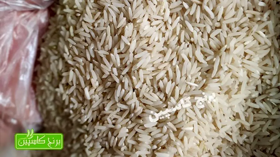 گران ترین برنج ایرانی کدام است و چه نام دارد ؟