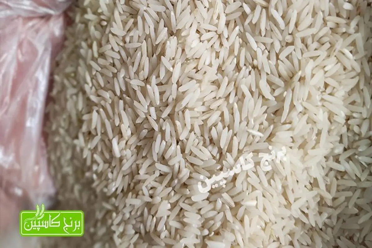 گران ترین برنج ایرانی کدام است و چه نام دارد ؟