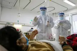 گزارش نهایی WHO درباره چگونگی شروع همه‌گیری کرونا
