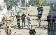آزادی ۴۲ اسیر فلسطینی و ۱۴ اسیر اسرائیلی در مرحله دوم تبادل اسرا 
