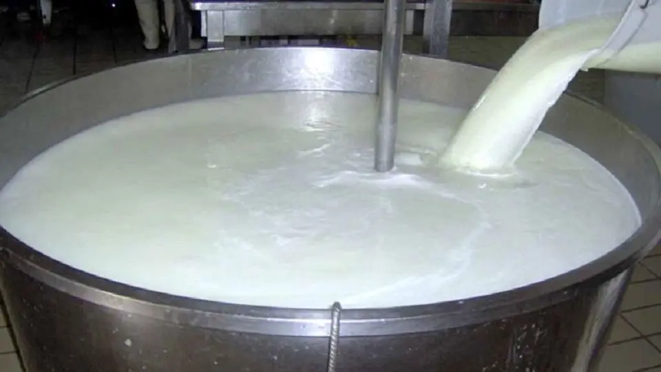 قیمت ۱۵ هزار تومانی برای هر کیلوگرم شیر سودی برای تولیدکننده ندارد