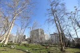 نیاز حیاتی به باغات یا نیاز به ساخت‌وساز؟

