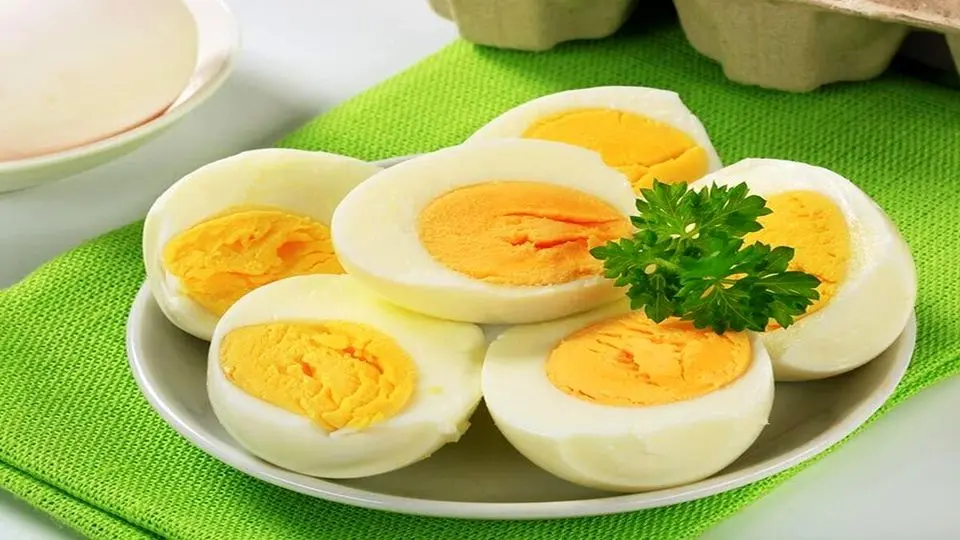 آیا تخممرغ کبد سالمندان را چرب میکند؟ پاسخ متخصصان تغذیه
