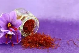 Iran, Qatar sign world's largest saffron trade agreement