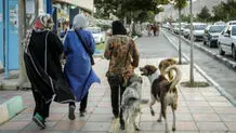 سگ‌گردانی در تبریز ممنوع شد
