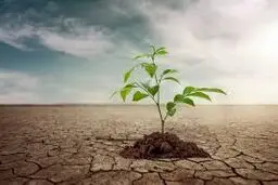لزوم تغییر نگرش‌ به مقوله آب
