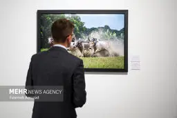 افتتاحیه نمایشگاه عکس اسپوتنیک
