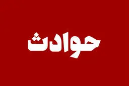 جنایت مرگ‌بار در سکوت؛ قاتل همسرش پس از خودزنی جان داد