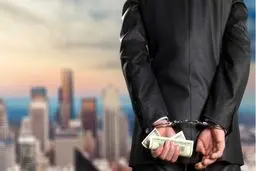 وکیل جرایم اقتصادی چه می کند؟
