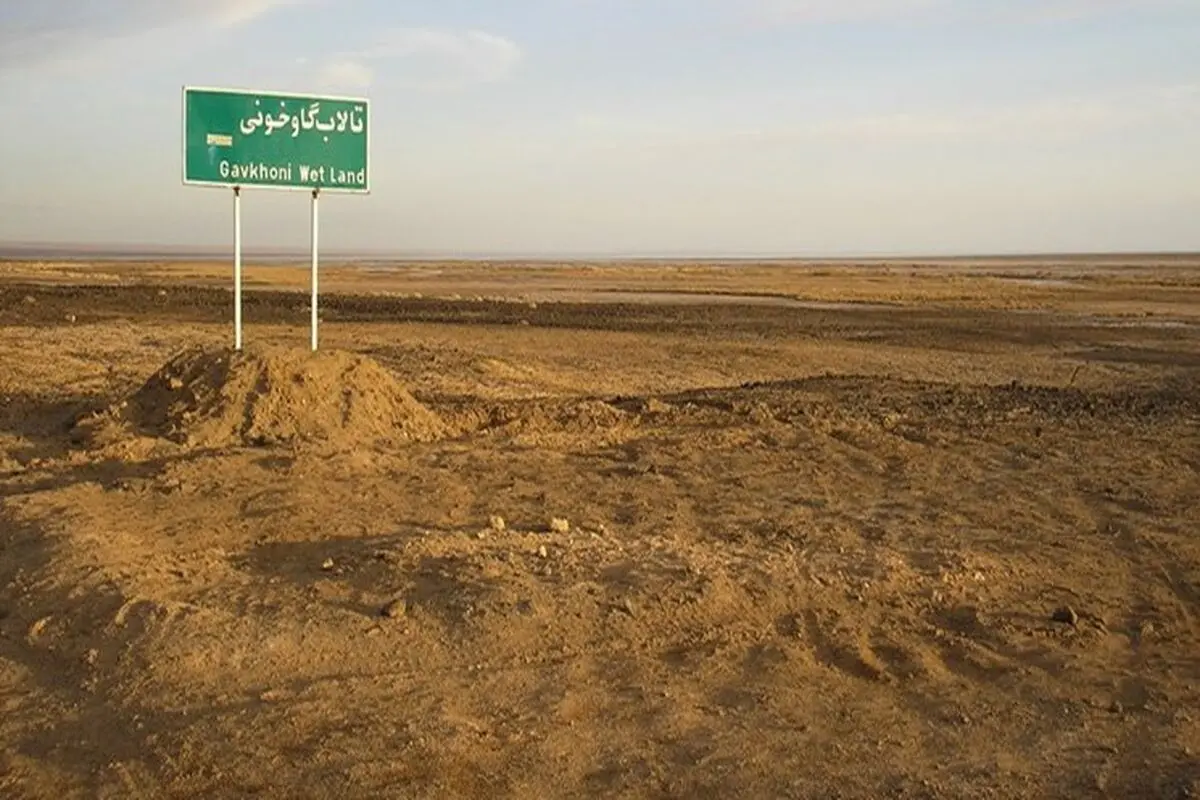 محکومیت یک مدیر دولتی بابت خشک‌کردن گاوخونی