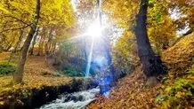 پیش بینی هوای مازندران فردا یکشنبه 14 تیر/ گرمای هوا تا پایان هفته ادامه دارد